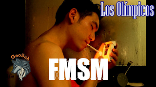 FMSM - series boys love