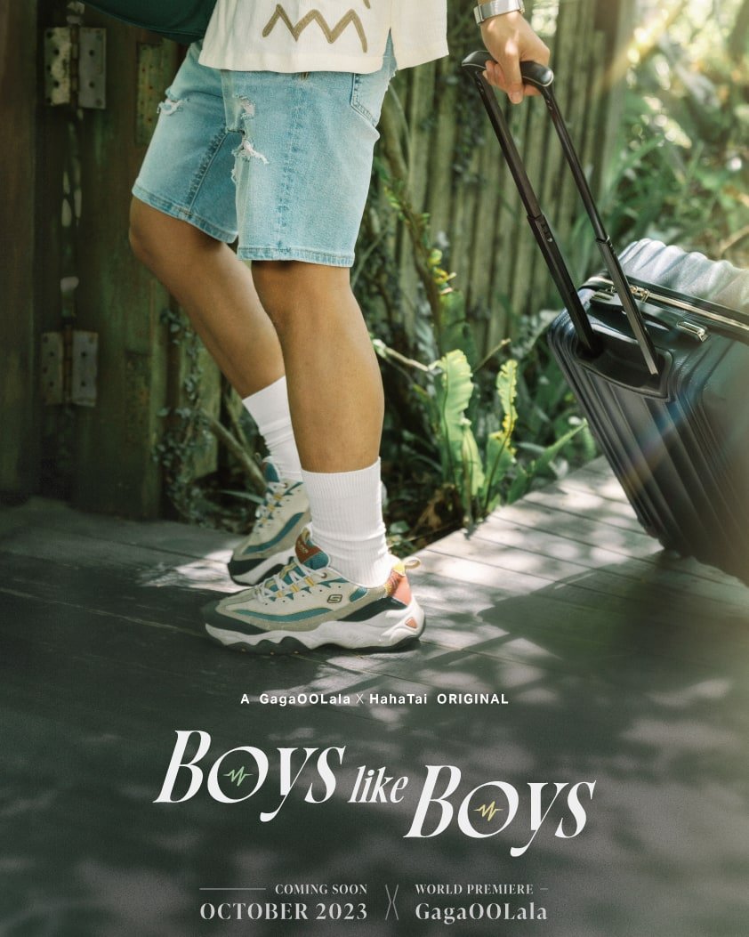 Boys Like Boys - seriesboyslove.es