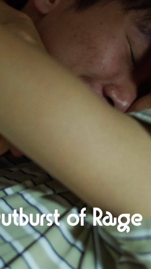Hot Blood & Outburst of Rage - seriesboyslove.es