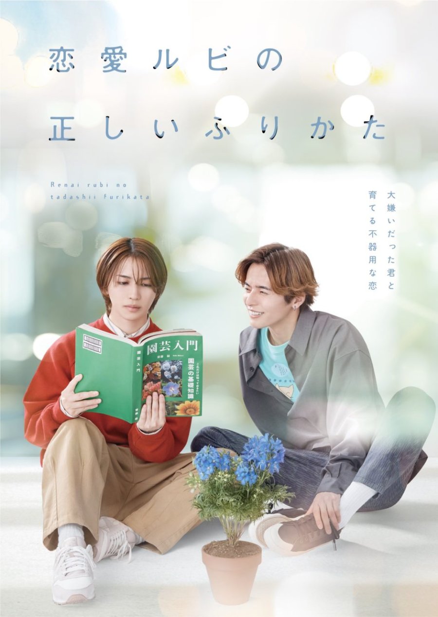 Renai Rubi no Tadashii Furikata - seriesboyslove.es