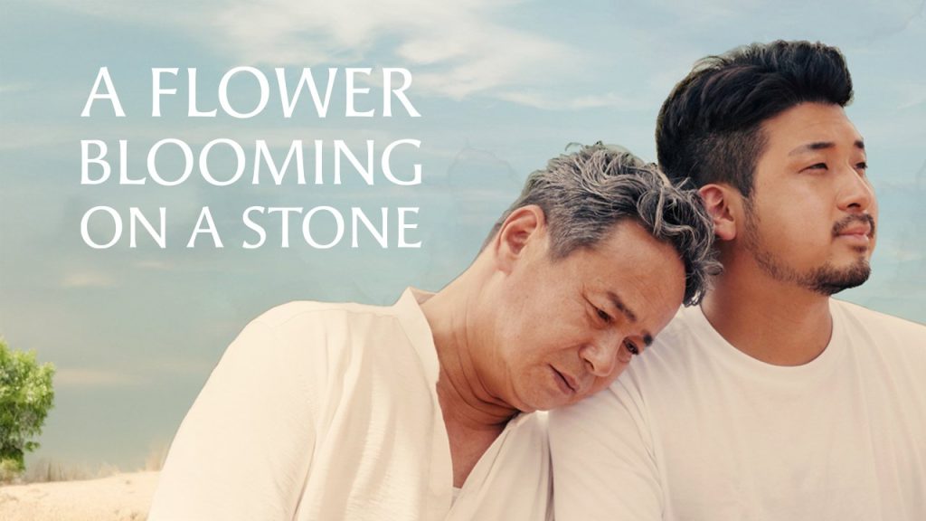 A Flower Blooming on a Stone - seriesboyslove.es